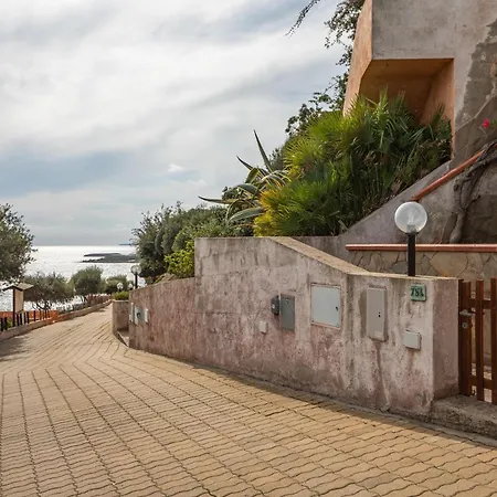 Quadri 8 * 维拉普特祖